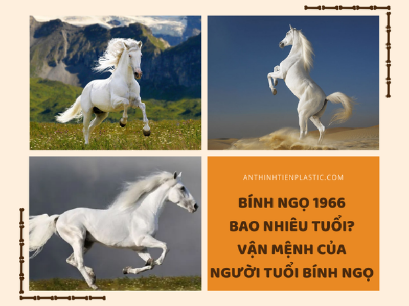 Năm 1966 năm nay bao nhiêu tuổi khi tính theo dương lịch và âm lịch trong năm 2024